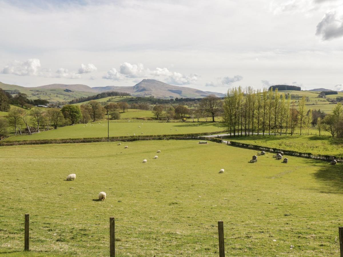 Cyffdy Cottage - Aran Llanycil المظهر الخارجي الصورة